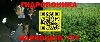 прущие крисы Усть-Джегута